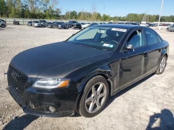  Salvage Audi A4