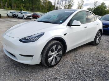  Salvage Tesla Model Y