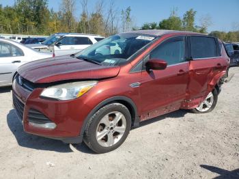  Salvage Ford Escape