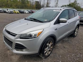  Salvage Ford Escape