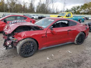  Salvage Ford Mustang