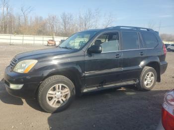  Salvage Lexus Gx