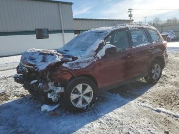  Salvage Subaru Forester