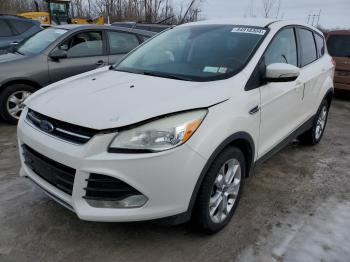  Salvage Ford Escape