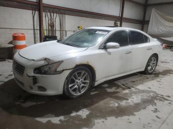  Salvage Nissan Maxima