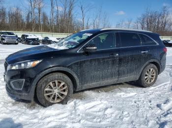  Salvage Kia Sorento