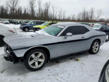  Salvage Dodge Challenger