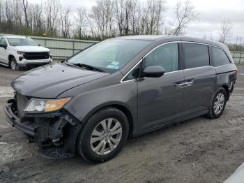  Salvage Honda Odyssey