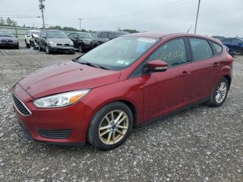  Salvage Ford Focus