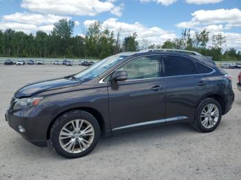  Salvage Lexus RX