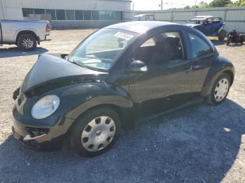  Salvage Volkswagen Beetle