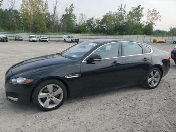  Salvage Jaguar XF