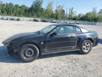  Salvage Ford Mustang