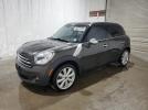 MINI Cooper Countryman Image 1