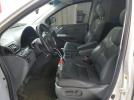 Honda Odyssey Exl Image 6