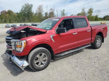  Salvage Ford F-150