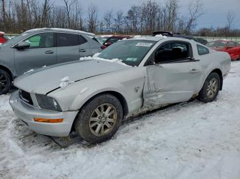  Salvage Ford Mustang