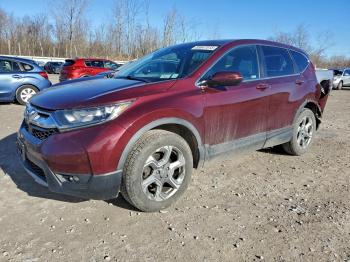  Salvage Honda Crv
