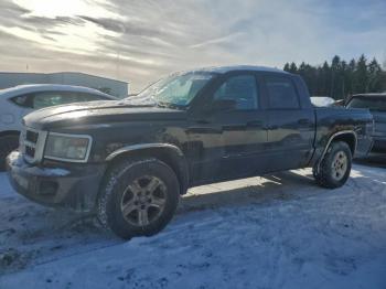  Salvage Dodge Dakota