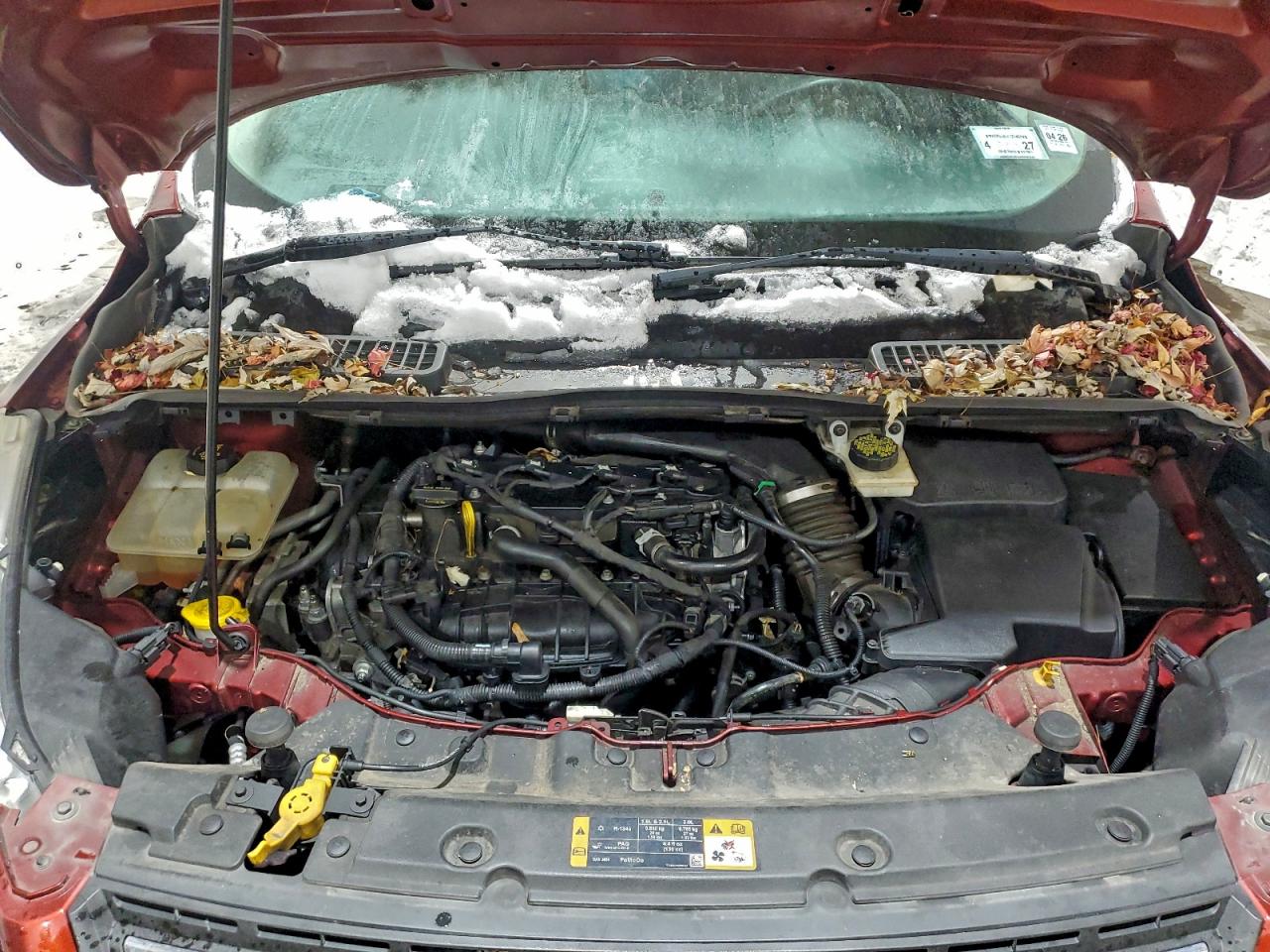 Ford Escape Se Image 6