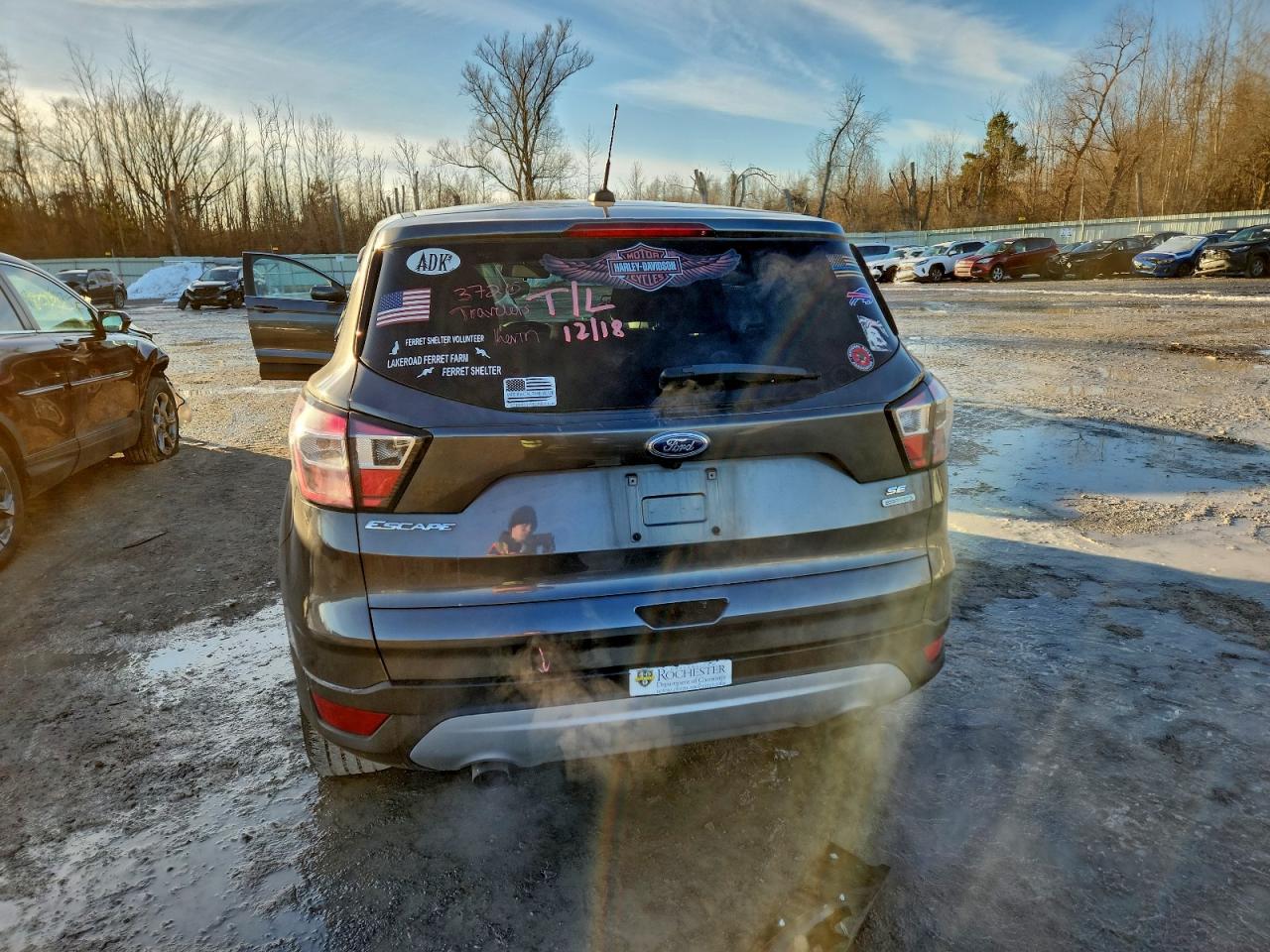 Ford Escape Se Image 11