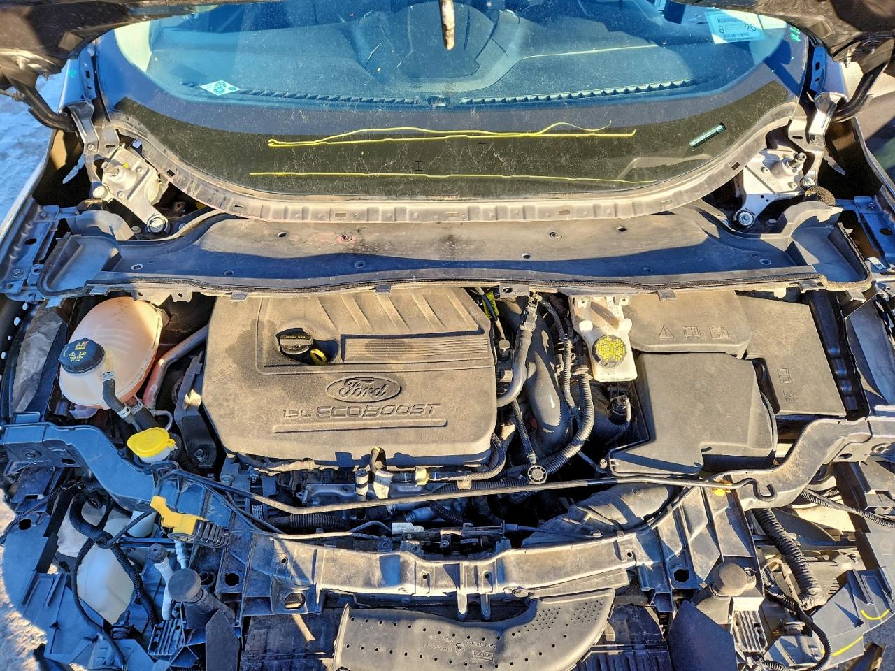 Ford Escape Se Image 6