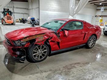  Salvage Ford Mustang
