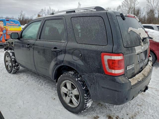 Ford Escape Limited Image 2