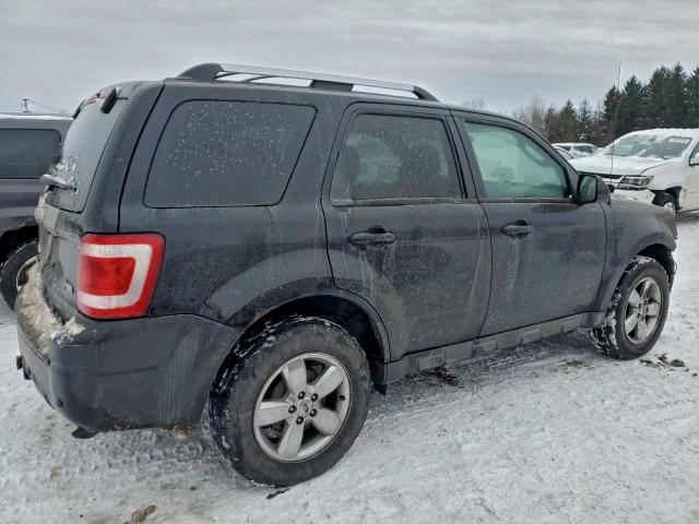 Ford Escape Limited Image 3