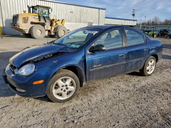  Salvage Plymouth Neon