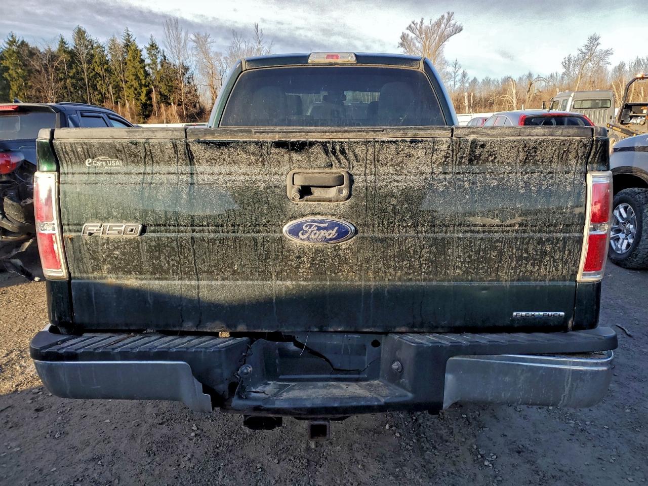 Ford F-150 Supercrew Image 12