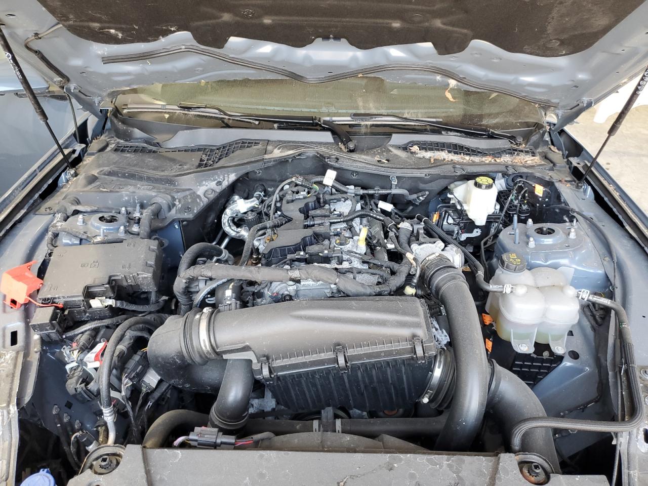 Ford Mustang Image 6